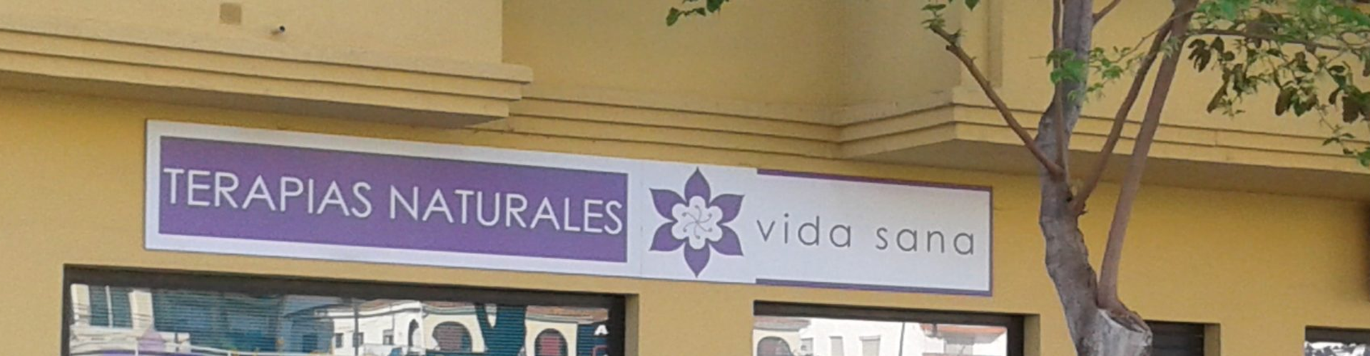 Centro Vida Sana-TERAPIAS-Naturales-Holísticas