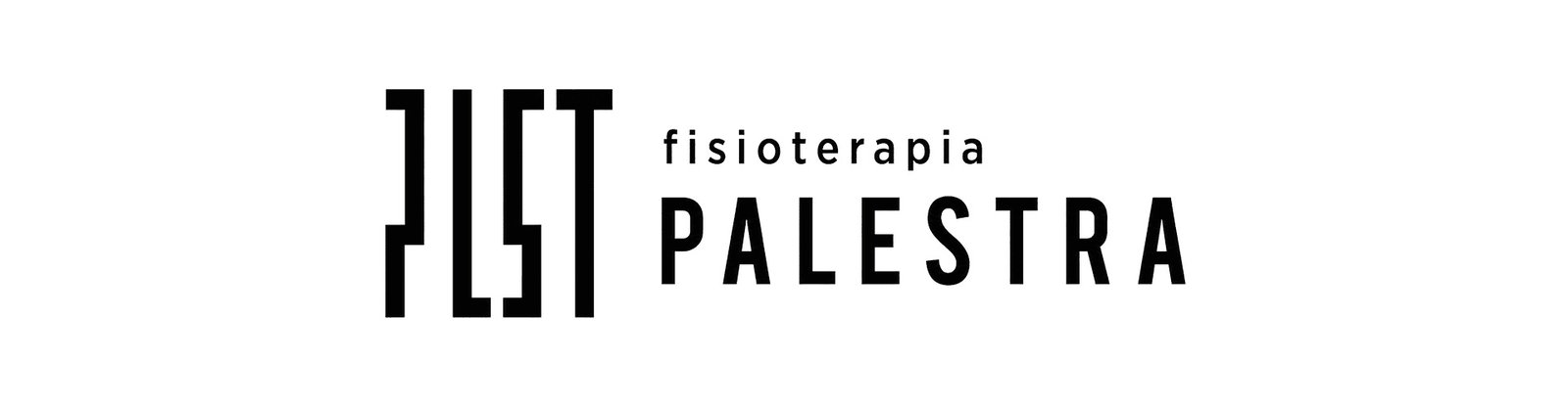Palestra Fisioterapia